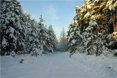 《绝区零》将增加主机版 TGS23特别视频展示